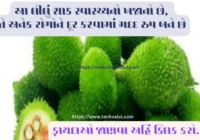 Amassing 8th Health Benefits of Kantola